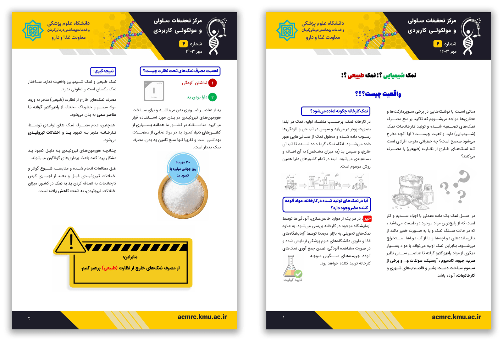 فکت شیت "نمک شیمیایی ؟! نمک طبیعی ؟! واقعیت چیست؟؟"